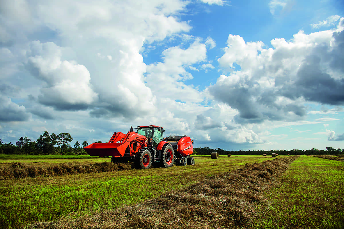 Let’s Make Hay!